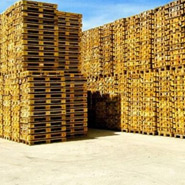 Pallet & Crate Assembly