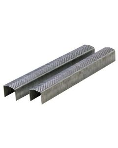STCR5019 - 3/8" Crown x 1/4" Leg Galvanized Staple