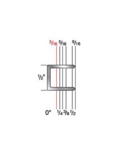 5006C 1/2" Crown x 3/16" Leg 20 Gauge Galvanized Staple